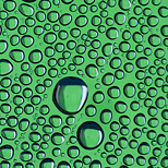 Condesación de agua en el interior de una botella + fondo verde